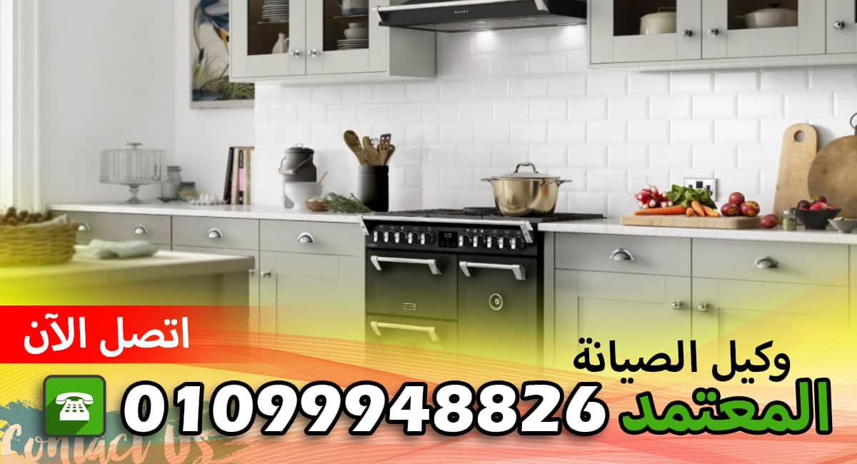 خدمة صيانة ترين